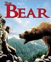 Смотреть Онлайн Медведь [1988] / Watch The Bear / L